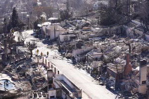 Devastating Los Angeles Wildfires Leave Trails of Destruction - image 3