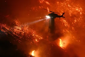 Devastating Los Angeles Wildfires Leave Trails of Destruction - image 9