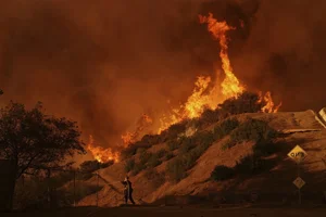 Devastating Los Angeles Wildfires Leave Trails of Destruction - image 2