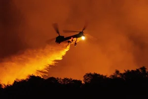 Devastating Los Angeles Wildfires Leave Trails of Destruction - image 5