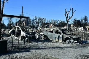 Devastating Los Angeles Wildfires Leave Trails of Destruction - image 8