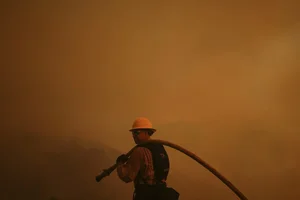Devastating Los Angeles Wildfires Leave Trails of Destruction - image 7