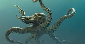 The Mystery of Megalodon: Earth's Most Powerful Ancient Sea Monster - image 6