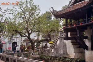 Discovering Hanoi's One Pillar Temple: A Deep Dive into Vietnam's Iconic Spiritual Landmark - image 7
