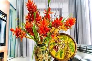 From Wild Forests to Urban Homes: The Rising Trend of Exotic Wild Plants - image 10