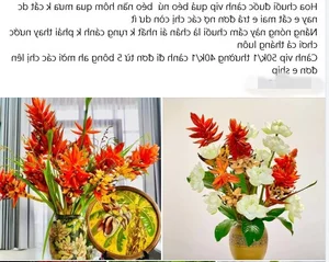 From Wild Forests to Urban Homes: The Rising Trend of Exotic Wild Plants - image 7