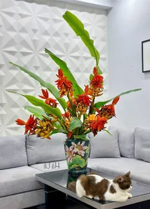 From Wild Forests to Urban Homes: The Rising Trend of Exotic Wild Plants - image 6