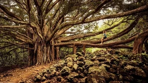 Most Breathtaking Hiking Trails and Mountain Paths in the World - image 8
