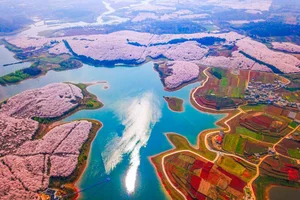 Cherry Blossom Season in China: A Fairytale Landscape You Must See - image 0