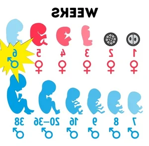 Nine Surprising and Lesser-Known Facts About the Male Body - image 0