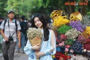 Phan Dinh Phung Street: The Most Photogenic Autumn Destination in Hanoi for Local Muses - image 10