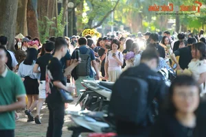 Phan Dinh Phung Street: The Most Photogenic Autumn Destination in Hanoi for Local Muses - image 1