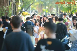 Phan Dinh Phung Street: The Most Photogenic Autumn Destination in Hanoi for Local Muses - image 0