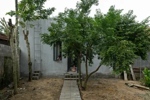 The Beauty of Raw Bricks: A 92m2 House Designed for Nature Preservation - image 2