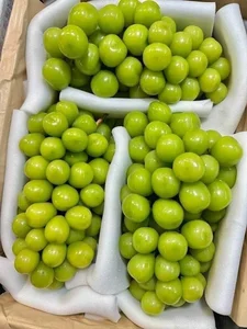 Trending Chinese Fruits Dominating the Vietnamese Market Today - image 2