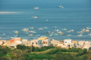 Ultimate Guide to Phu Quy Island: Seafood Feasts and Instagrammable Spots - image 3