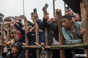 Dramatic Highlights from the 2025 Hai Luu Buffalo Fighting Festival in Vinh Phuc - image 9