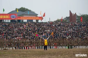 Dramatic Highlights from the 2025 Hai Luu Buffalo Fighting Festival in Vinh Phuc - image 1