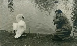 Rare Photos Reveal Daily Life in Early 20th Century America - image 8