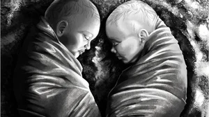 The Mystery of the Ancient Twins: Shocking Revelations from the Tomb - image 1