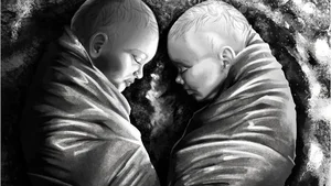 The Mystery of the Ancient Twins: Shocking Revelations from the Tomb - image 0