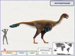 Bizarre Prehistoric Creature Fossil Challenges Traditional Beliefs About Dinosaurs - image 8