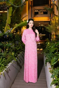 Vietnamese Celebrities Shine in Elegant Ao Dai for Tet - image 2