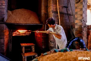 The Famous Mekong Delta Pottery Village: Struggling to Preserve Heritage - image 8