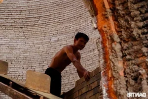 The Famous Mekong Delta Pottery Village: Struggling to Preserve Heritage - image 6