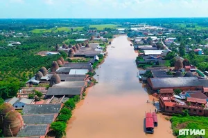 The Famous Mekong Delta Pottery Village: Struggling to Preserve Heritage - image 1