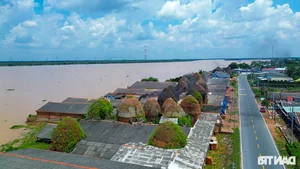 The Famous Mekong Delta Pottery Village: Struggling to Preserve Heritage - image 0