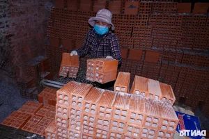 The Famous Mekong Delta Pottery Village: Struggling to Preserve Heritage - image 3