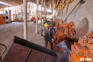 The Famous Mekong Delta Pottery Village: Struggling to Preserve Heritage - image 5