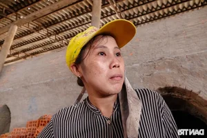 The Famous Mekong Delta Pottery Village: Struggling to Preserve Heritage - image 2