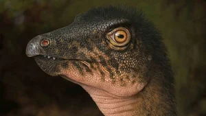 Incredible Discovery: Ancient Dinosaur Fossils Unearthed Beneath Museum Parking Lot - image 5