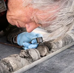 Incredible Discovery: Ancient Dinosaur Fossils Unearthed Beneath Museum Parking Lot - image 3