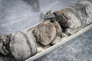 Incredible Discovery: Ancient Dinosaur Fossils Unearthed Beneath Museum Parking Lot - image 1