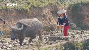The Daughter of a Seafood Tycoon Makes Waves on 'Gia Dinh Haha' - image 0