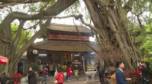 The Sacred Mystery of Den Mau Temple in Hung Yen - image 2