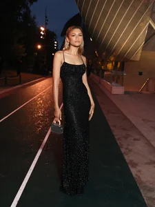 Global Stars and Celebrities Gather for the Paris 2024 Olympic Opening - image 10