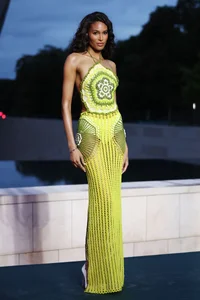 Global Stars and Celebrities Gather for the Paris 2024 Olympic Opening - image 9