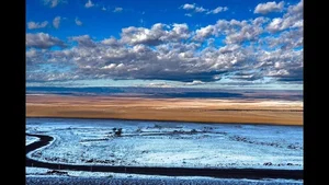 Incredible Natural Wonders: Discovering Rare Life and Breathtaking Landscapes in the World's Driest Desert - image 7