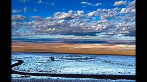 Incredible Natural Wonders: Discovering Rare Life and Breathtaking Landscapes in the World's Driest Desert - image 3