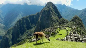 Unveiling the Mystery of the Ancient City on the Peak - image 8
