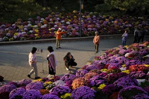 Capturing Serenity: A Visual Journey Through the Peaceful Daily Life in China - image 3