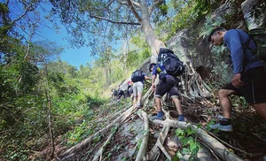 Staying Safe on Ba Den Mountain: Why Sticking to Trails is Essential - image 2