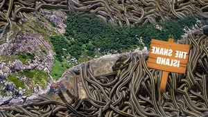 Four Deadly Islands Around the World You Should Never Visit - image 3