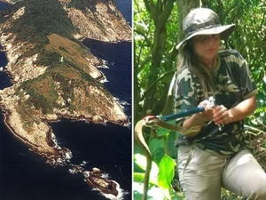 Four Deadly Islands Around the World You Should Never Visit - image 5