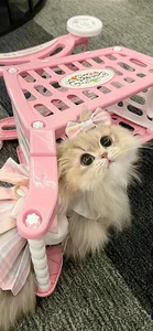 Cute Wallpapers Collection: 78+ Adorable and Sweet Backgrounds - image 22