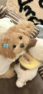 Cute Wallpapers Collection: 78+ Adorable and Sweet Backgrounds - image 26